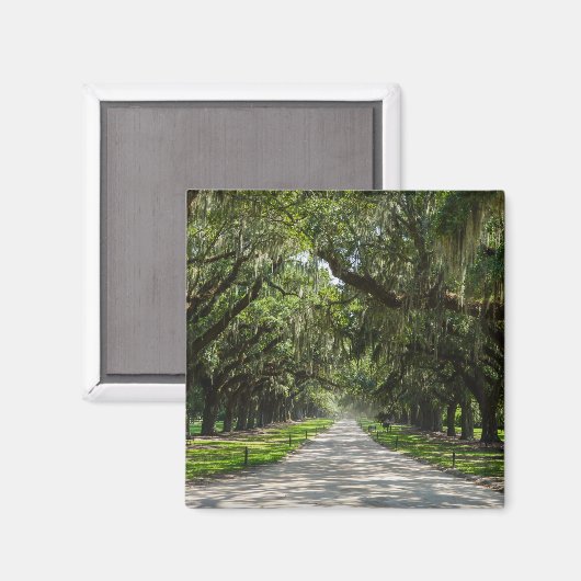 Oaks Magneet (Voorkant / Achterkant)