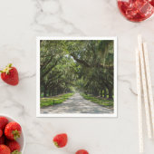 Oaks Servet (Insitu)