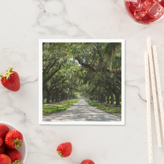 Oaks Servet (Insitu)