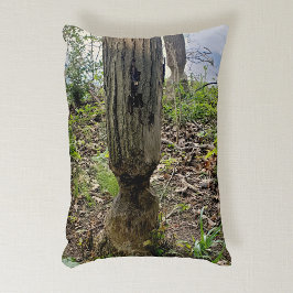 Oakwoods Metropark Beaver Trail Accent Kussen