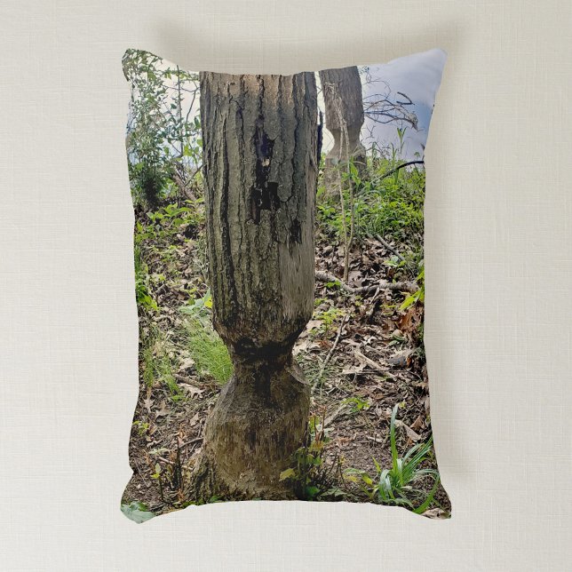 Oakwoods Metropark Beaver Trail Accent Kussen (Creator heeft geüpload)