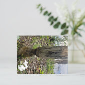 Oakwoods Metropark Beaver Trail met Logo Briefkaart (Staand voorkant)