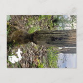 Oakwoods Metropark Beaver Trail met Logo Briefkaart (Voorkant)