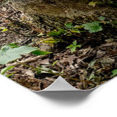 Oakwoods Metropark Beaver Trail Poster (Hoek)