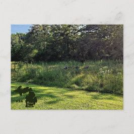 Oakwoods Metropark Kalkoenpad met logo Briefkaart
