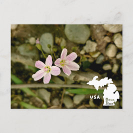 Oakwoods Metropark Springbeauty met Logo Briefkaart