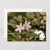 Oakwoods Metropark Springbeauty met Logo Briefkaart (Voorkant / Achterkant)