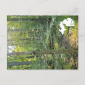 Oakwoods Metropark Trail Zomerbos met Logo Briefkaart (Voorkant)