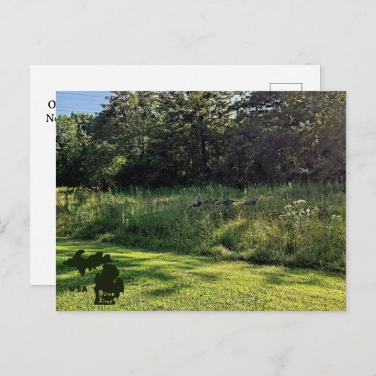 Oakwoods Metropark Turkije Path met Logo Briefkaart (Voorkant / Achterkant)