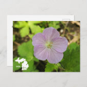 Oakwoods Metropark Wild Geranium met Logo Briefkaart (Voorkant / Achterkant)