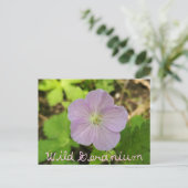 Oakwoods Metropark Wild Geranium met tekst Briefkaart (Staand voorkant)