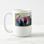 OAS Cats on Lake Merritt Mural Koffiemok (Links)