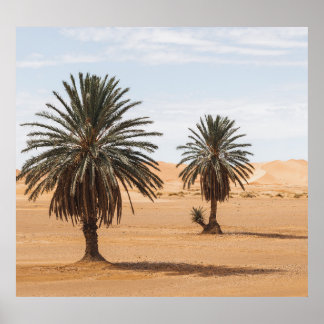 Oase van de woestijn: Sahara Palms Landschap. Poster