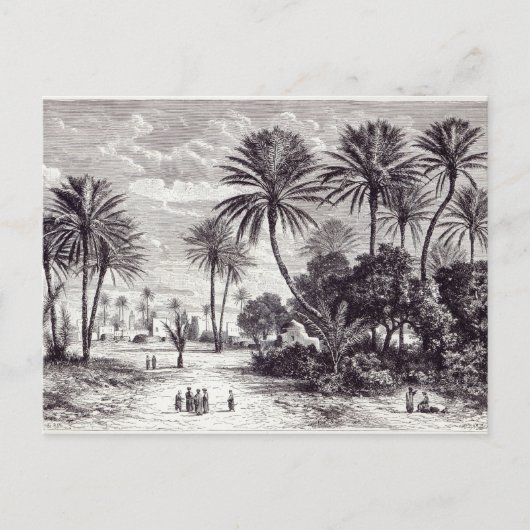 Oase van Gafsa: Tunis Briefkaart (Voorkant)