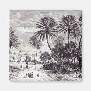 Oase van Gafsa: Tunis Magneet