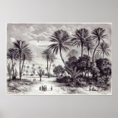 Oase van Gafsa: Tunis Poster (Voorkant)