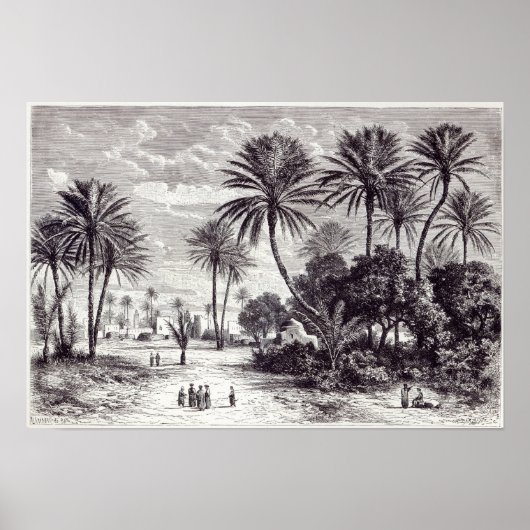 Oase van Gafsa: Tunis Poster (Voorkant)