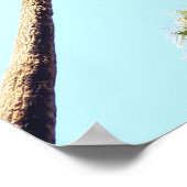 Oasepalmen in Joshua Tree National Park Poster (Hoek)