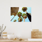 Oasepalmen in Joshua Tree National Park Poster (Keuken)