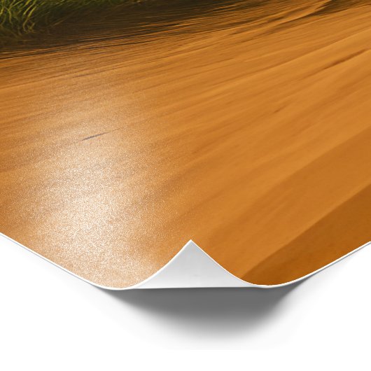 Oasis of Hope Foto Afdruk (Hoek)