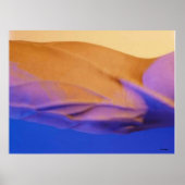 Oasis Poster (Voorkant)