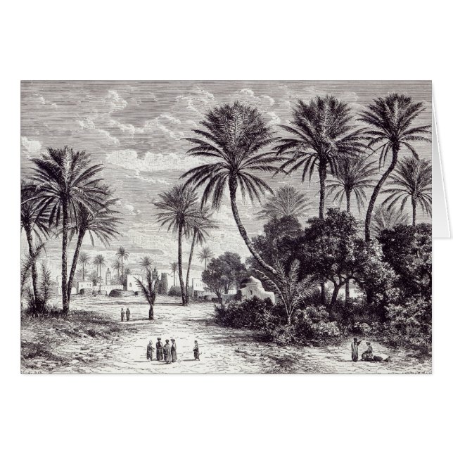 Oasis van Gafsa: Tunis (Voorkant Horizontaal)