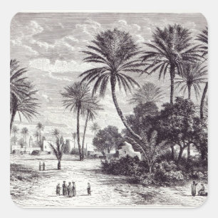Oasis van Gafsa: Tunis Vierkante Sticker
