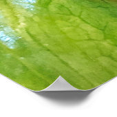 Obake Anthurium Poster (Hoek)