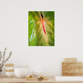 Obake Anthurium Poster (Keuken)