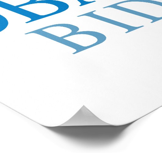 OBAMA BIDEN O BLUE -.png Poster (Hoek)