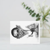 Obama Briefkaart-karikatuur Briefkaart (Staand voorkant)