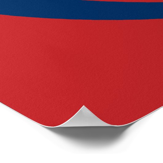 Obama: Het Big O Poster (Hoek)