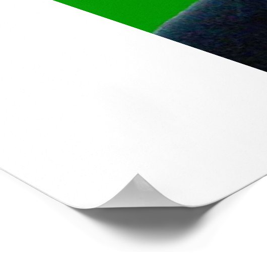 Obama Kenyan Heritage Poster (Hoek)