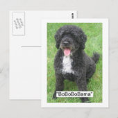 Obama Pet/Portugese waterhond Briefkaart (Voorkant / Achterkant)