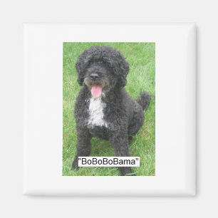 Obama Pet Portugese waterhond Magneet