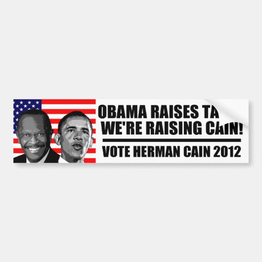 Obama verhoogt de belastingen, we verhogen de pijn bumpersticker (Voorkant)