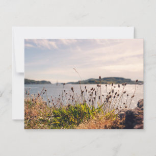 Oban Waterfront Briefkaart