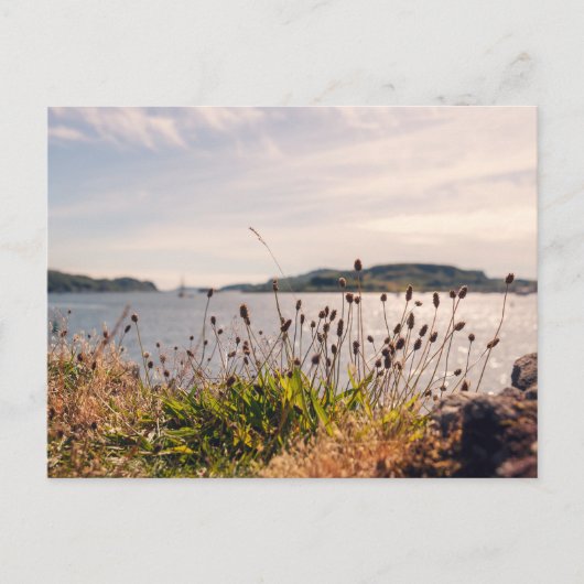 Oban Waterfront Briefkaart (Voorkant)