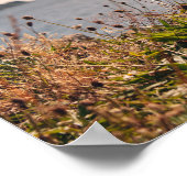 Oban Waterfront Poster (Hoek)