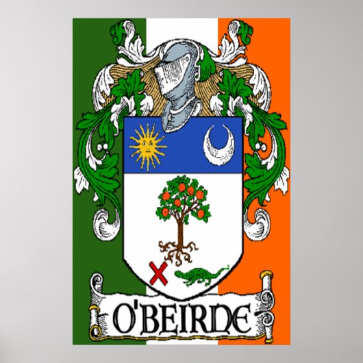 O'Beirne Coat of Arms Irish Flag Print (Voorkant)