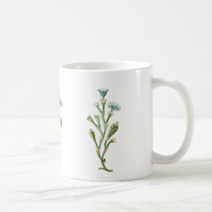 Obelia (kwallen) koffiemok