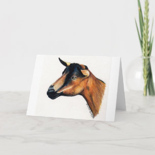 "Oberhasli Goat" — Wenskaart voor dierlijke kunst Kaart