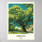Oberlin Ohio College Town Progressieve Gemeenschap Poster (Voorkant)