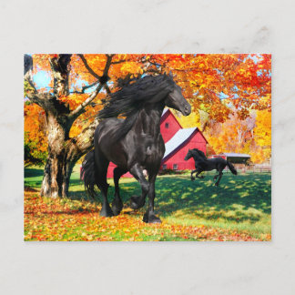"Oberon in de herfst" Briefkaart