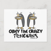 Obey de gekke pinguïns! briefkaart (Voorkant)