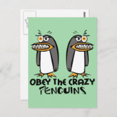 Obey de gekke pinguïns (groen) briefkaart (Voorkant / Achterkant)