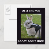 Obey het Briefkaart van de Pauw (Voorkant / Achterkant)