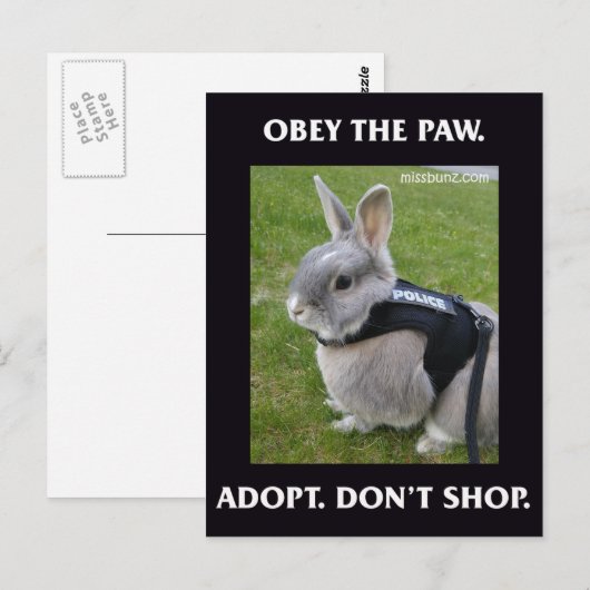 Obey het Briefkaart van de Pauw (Voorkant / Achterkant)