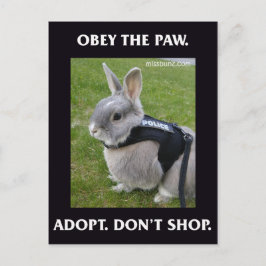 Obey het Briefkaart van de Pauw