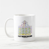 Obey Mendelian Laws (Dihybride kruis erwten) Koffiemok (Links)